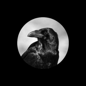 日本护士的肉肉A片
